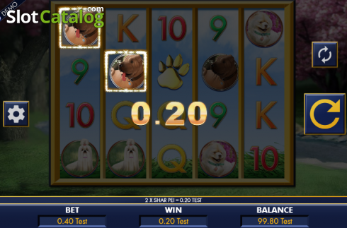 Win screen. A bark in the park slot