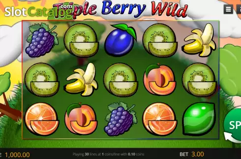 Game screen. Triple Berry Wild slot