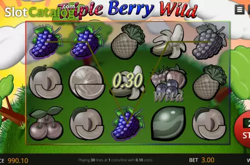 Win screen. Triple Berry Wild slot