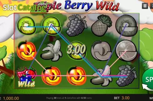 Win screen 3. Triple Berry Wild slot