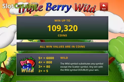 Game Features screen. Triple Berry Wild slot