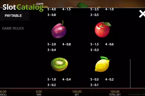 Bildschirm7. Fruits and Juice 243 Ways slot