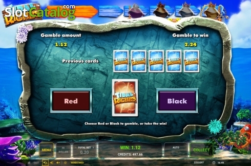 Gamble Screen. Tidal Riches slot