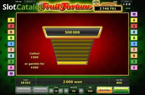 Double Up. Fruit Fortune slot
