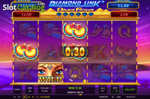 Bildschirm5. Oasis Riches Diamond Link slot