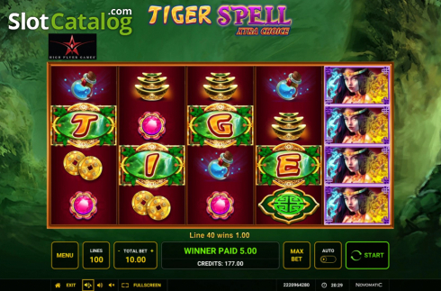 画面5. Tiger Spell Xtra Choice (タイガー・スペル・エクストラ・チョイス) カジノスロット