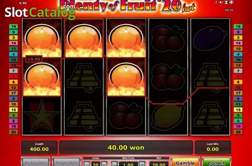Win. Plenty of Fruit 20 Hot slot