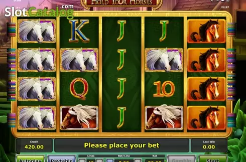 Reels. Hold your horses slot