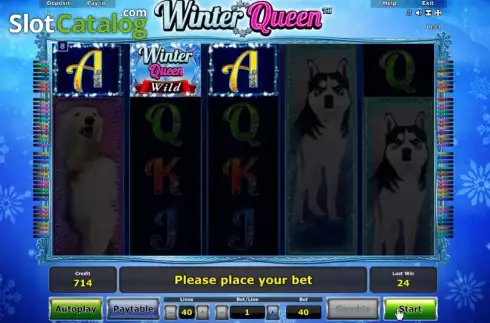 Screen 4. Winter Queen slot