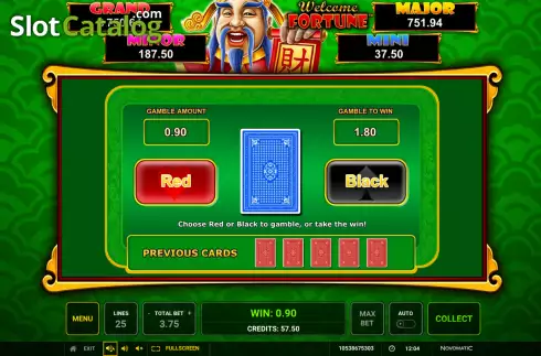 Risk Game screen. Welcome Fortune (Greentube) slot