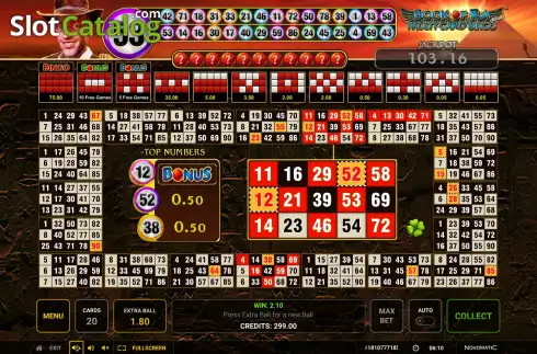 Gameplay Screen 2. Book of Ra Multi Card Bingo Deluxe slot