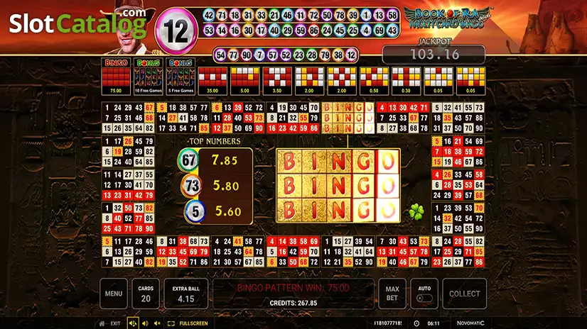 Book of Ra Multi Card Bingo Deluxe Bingo Win Screen