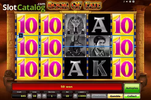 Free Spins Win Screen 2. Book of Fate (Greentube) slot