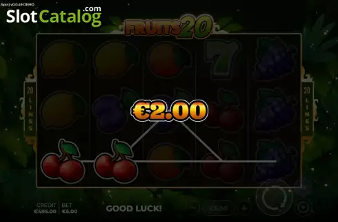 Win Screen. Fruits 20 Bonus Spin slot
