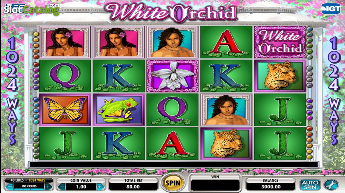 white orchid slot machine game