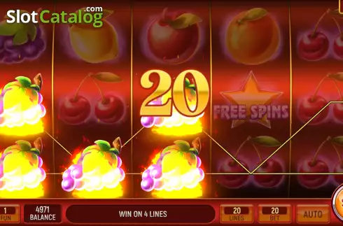 Win Screen 2. Magnificent Fruits slot