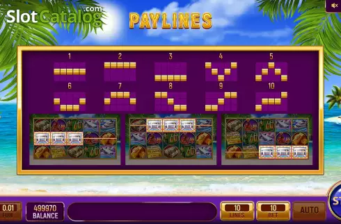 PayLines Screen. The Rich Game slot