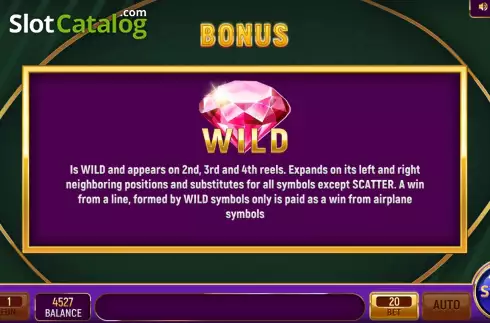 Bonus / Wild Rules Screen. Gold and Money slot