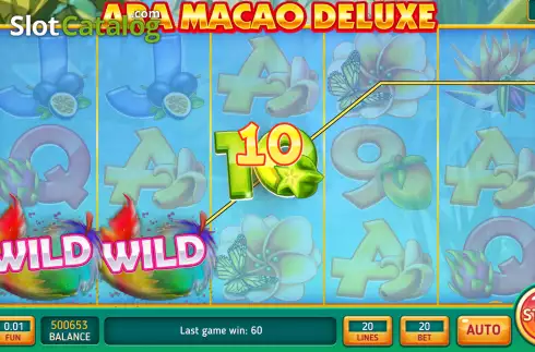 Win screen 2. Ara Macao Deluxe slot