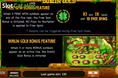 Game Features screen. Dublin Gold slot