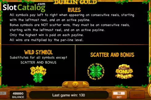 Game Features screen 3. Dublin Gold slot