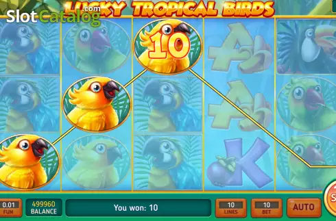 Win screen 2. Lucky Tropical Birds slot