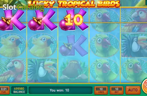 Schermo5. Lucky Tropical Birds slot