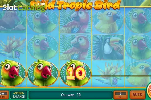 Win screen. Wild Tropic Bird slot