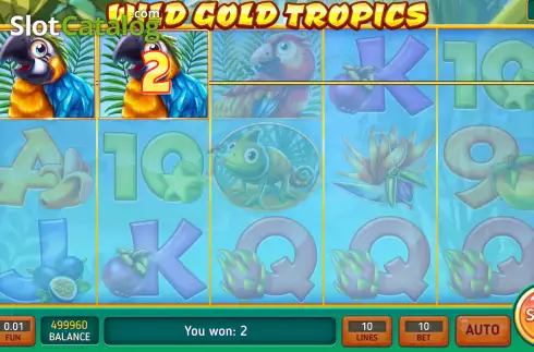 Win screen. Wild Gold Tropics slot