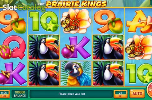Bildschirm2. Prairie Kings slot