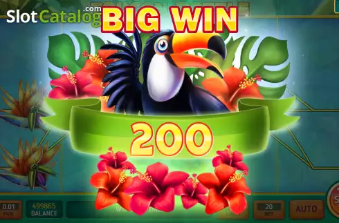 Big Win screen. Toucan Battle slot