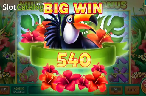 Big Win screen. Wild Parrot Bonus slot