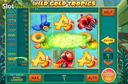 Win screen. Wild Gold Tropics (Pull Tabs) slot