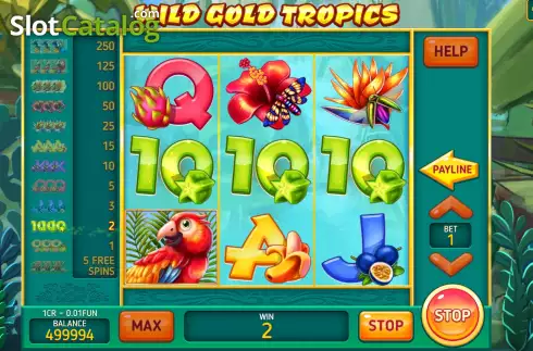 Win screen 2. Wild Gold Tropics (Pull Tabs) slot