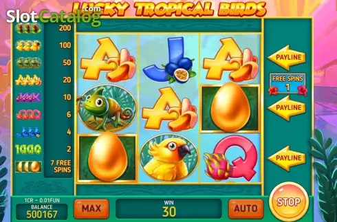 Free Spins screen 3. Lucky Tropical Birds (3x3) slot