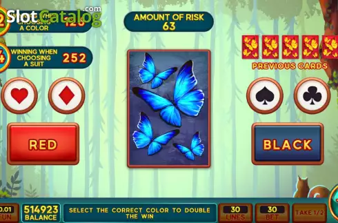 Risk Game screen. Enchanted Grove slot