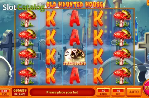 Reels screen. Old Haunted House slot