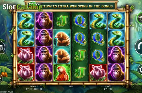 Bildschirm2. Kong Wonder Wilds slot