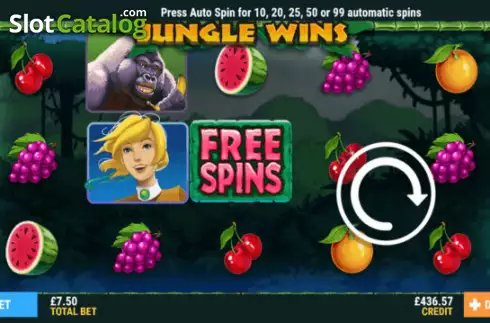 Reel screen. Jungle Wins slot