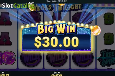 Big Win screen. Vegas Twilight slot