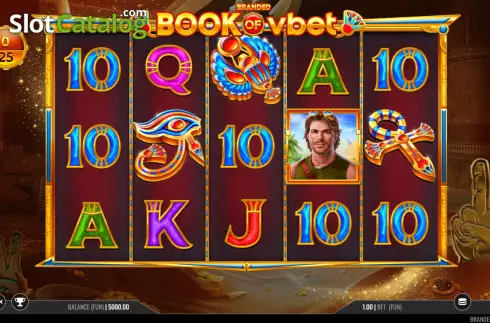 Game screen. Book of Vbet slot