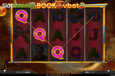 Win screen. Book of Vbet slot