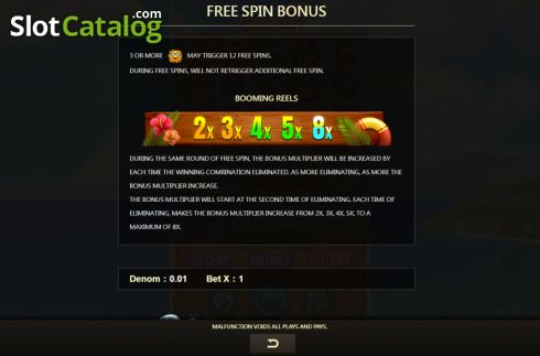 FS bonus screen. Spindrift 2 slot