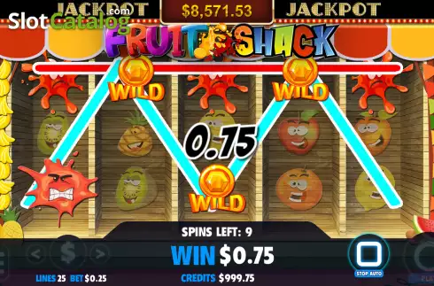 Win screen. Fruit Shack slot