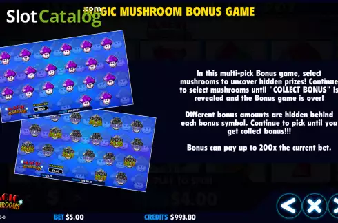 画面7. Magic Mushrooms (Jackpot Software) カジノスロット