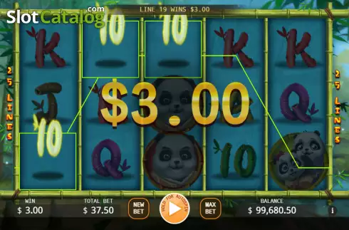 Win screen 2. Panda Family slot