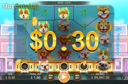 Win screen. Who Let the Dogs Out slot