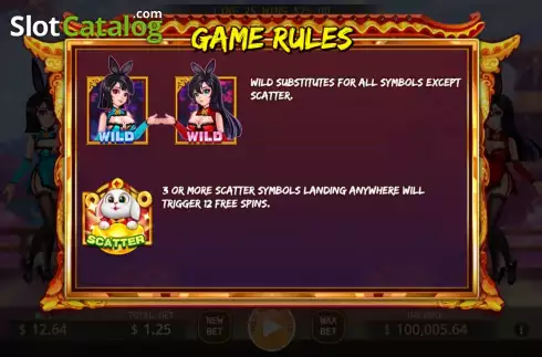 Game Features screen. Bunny Girl slot