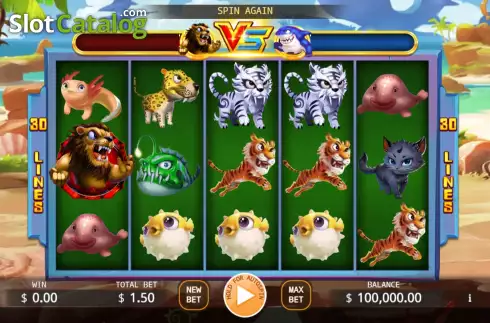 Game screen. Lion vs Shark slot