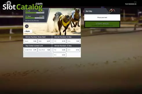 Game screen. Greyhounds Streak slot